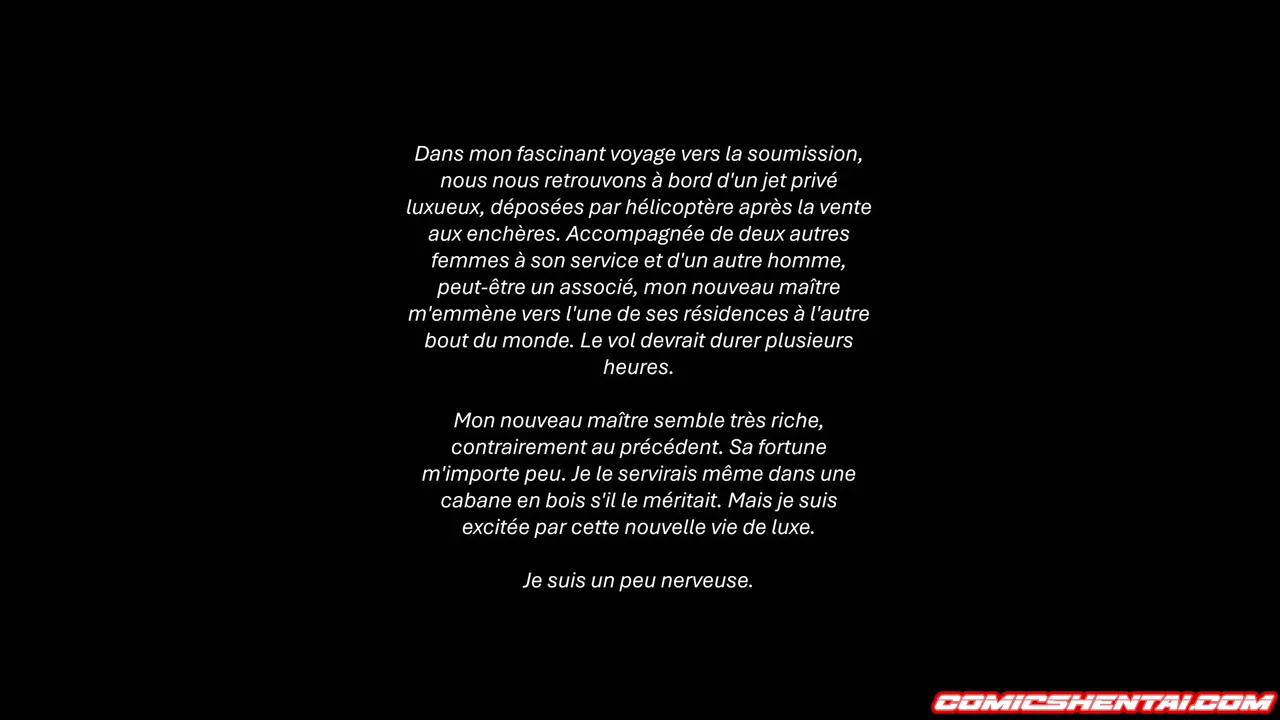 Nin 3 - Utilisé pour mon maître - Bandes dessinées 3D
